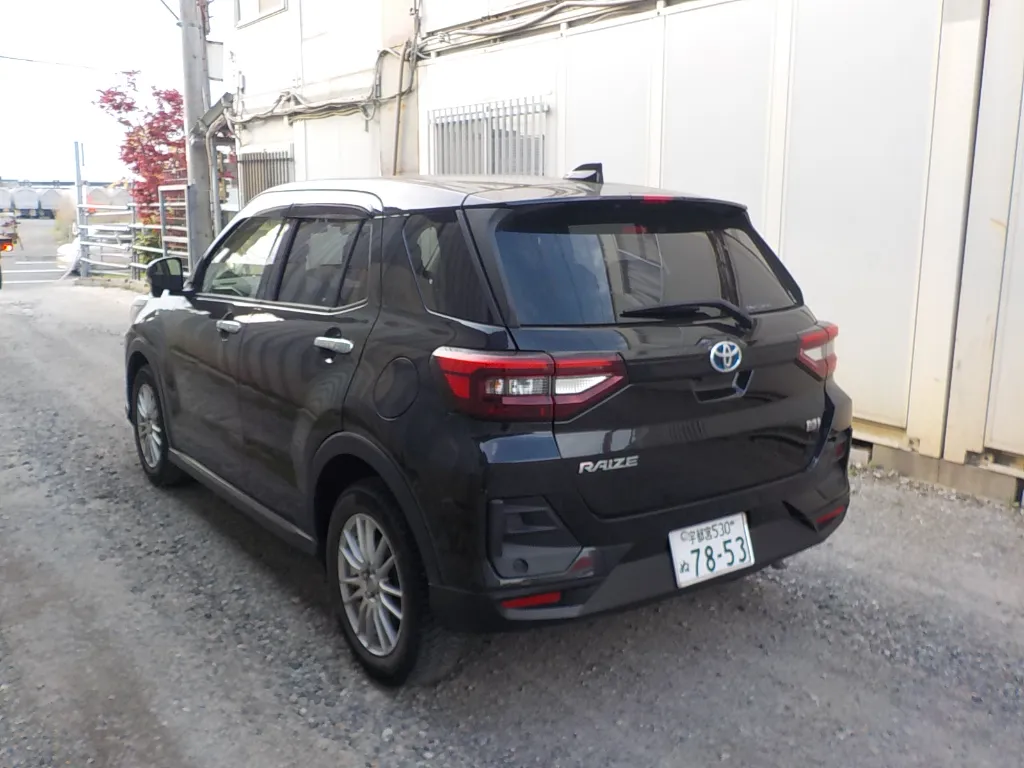 5358 (3).webp